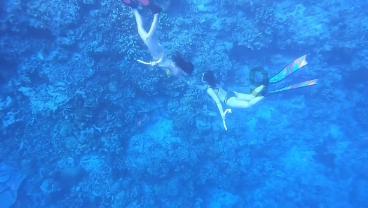 逃出海滩度假胜地